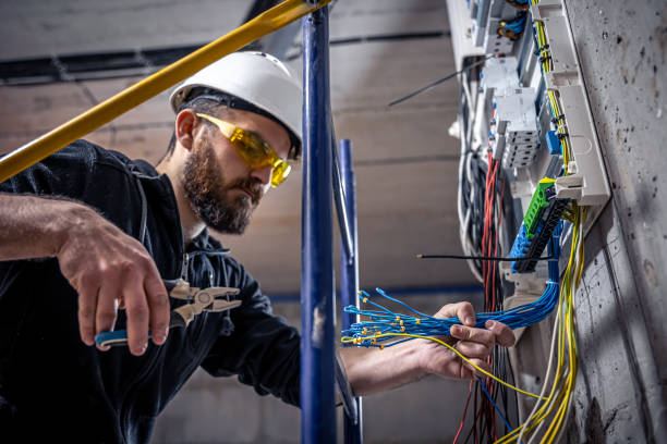 Best Local Electrician Companies  in Coldwater, MS